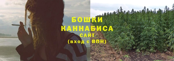 ГАЛЛЮЦИНОГЕННЫЕ ГРИБЫ Балахна