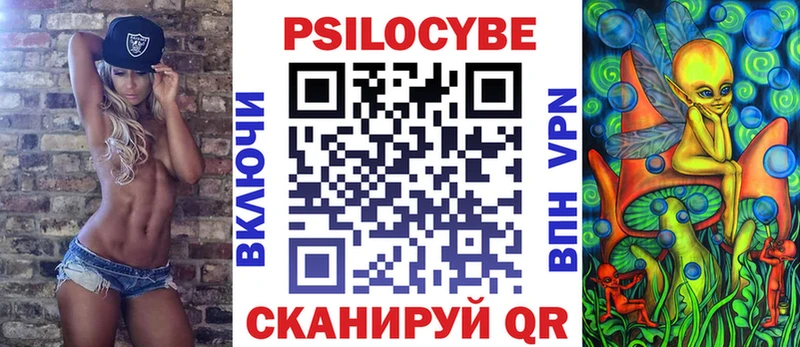 Галлюциногенные грибы Psilocybine cubensis  Щёкино 